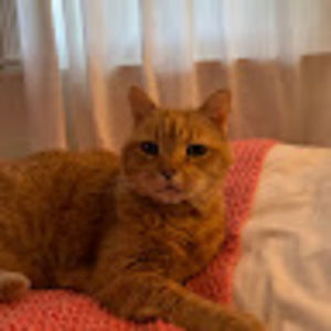 Meet your Posher, Karen